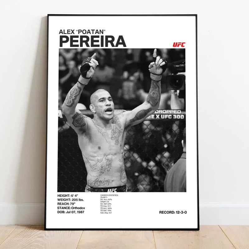 Black & White Fighter Canvas Posters — Unframed