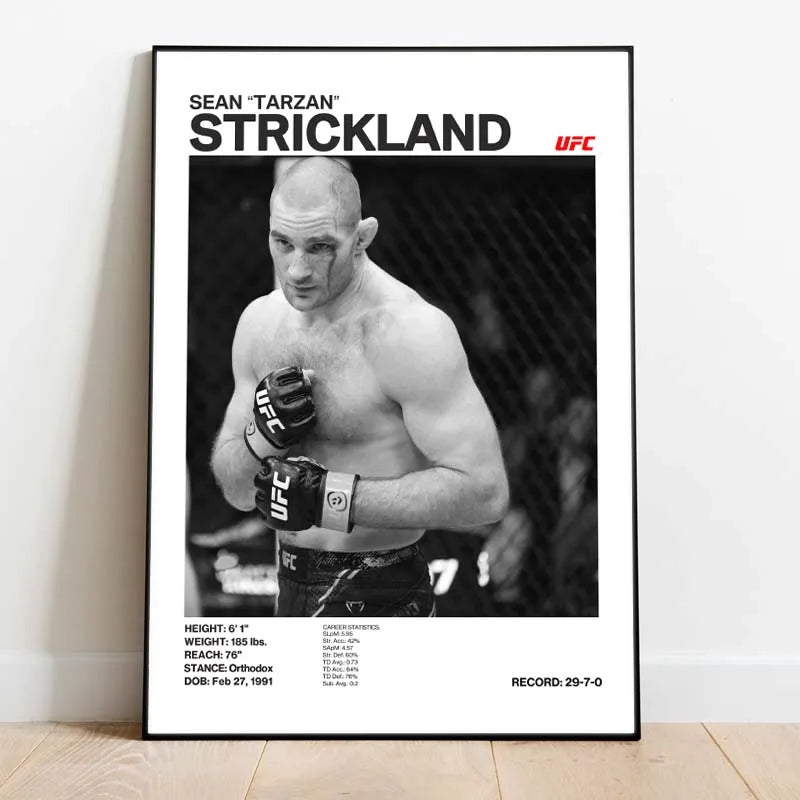 Black & White Fighter Canvas Posters — Unframed