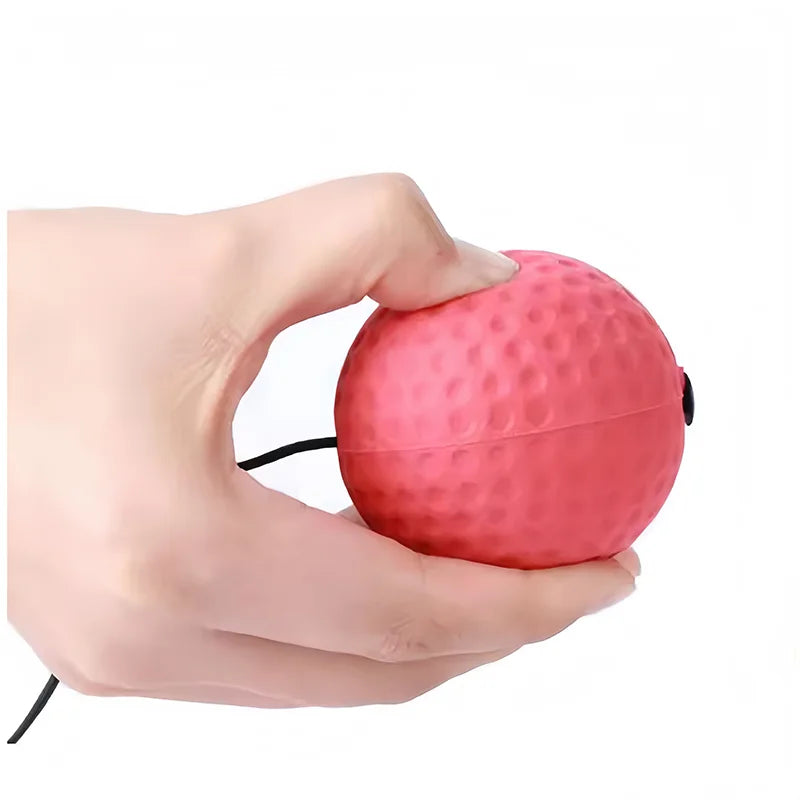Boxing Reflex Ball with Headband