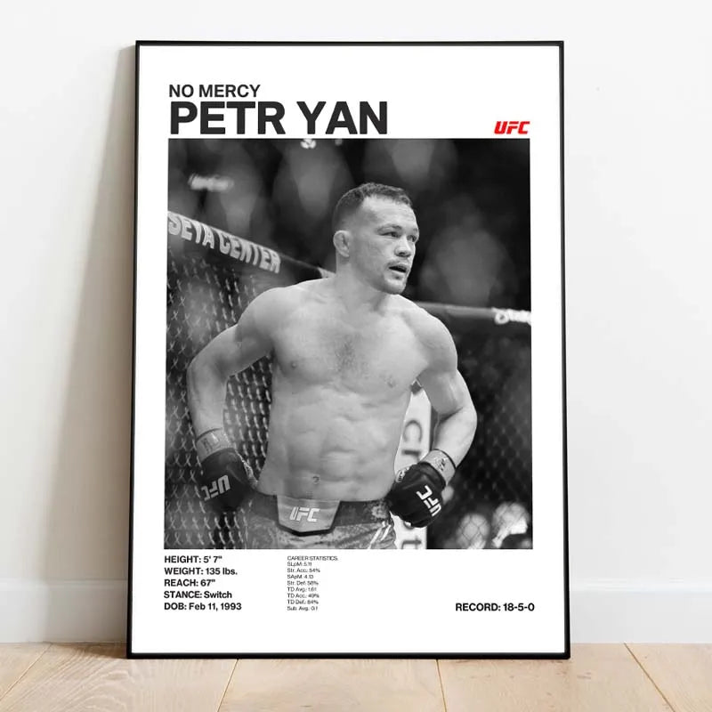Black & White Fighter Canvas Posters — Unframed